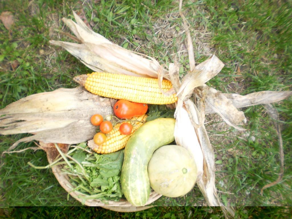 Fields Appartamento *