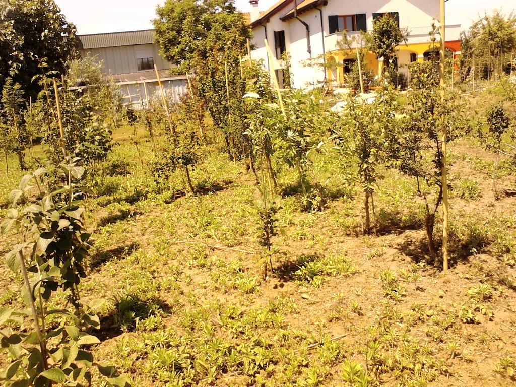 Appartamento Fields