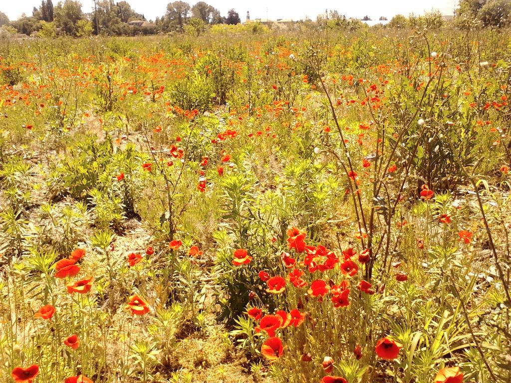 Appartamento Fields *