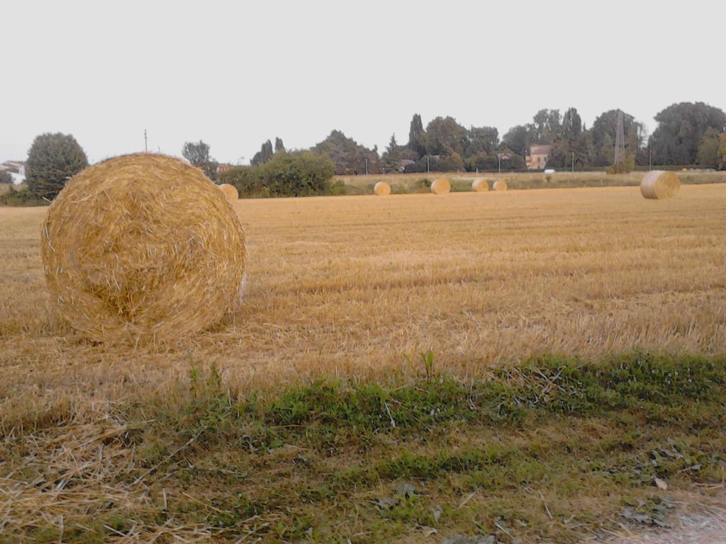 Appartamento Fields