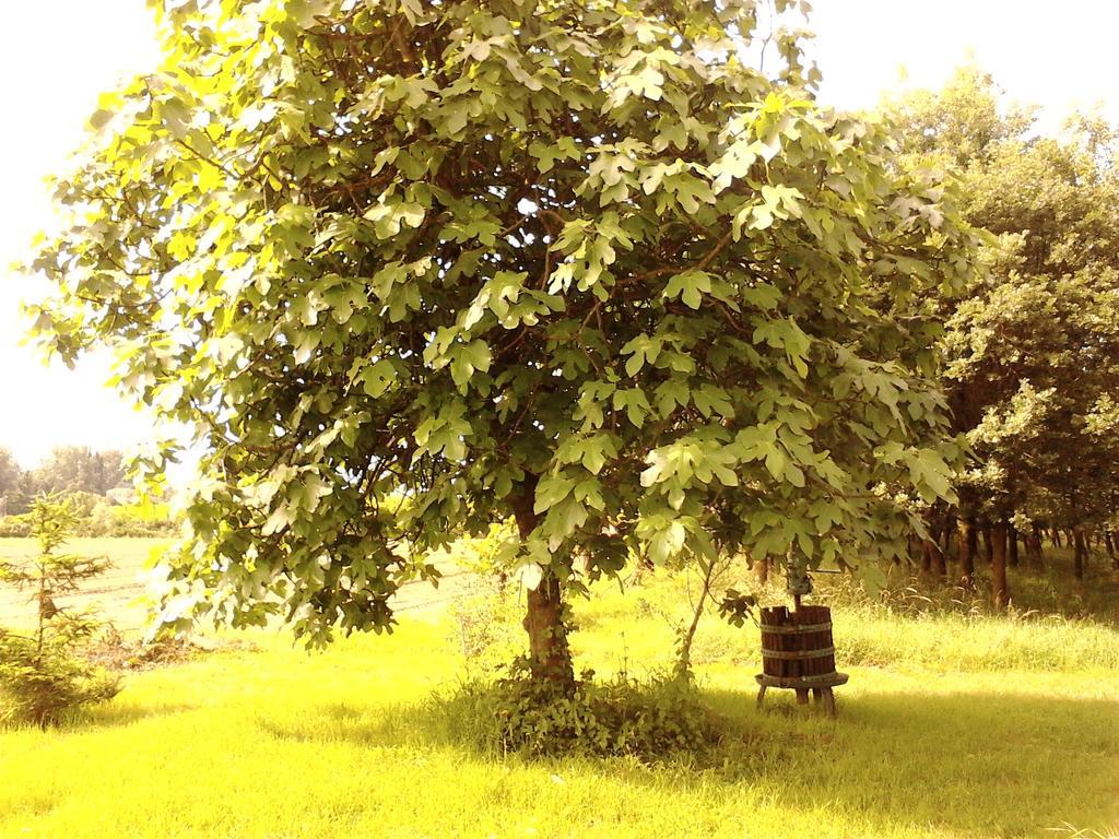 Appartamento Fields *