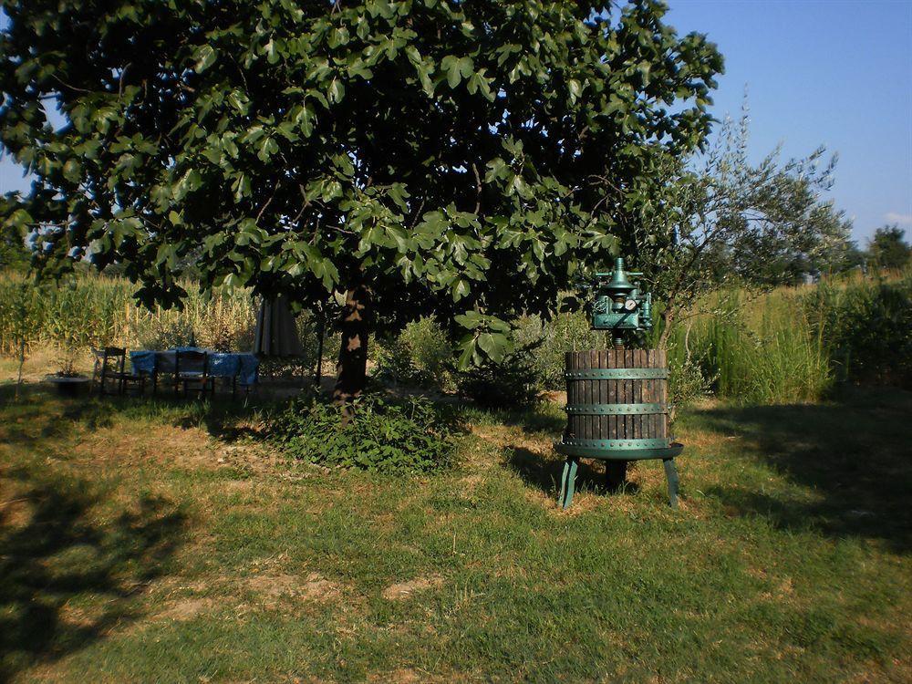 Fields Appartamento