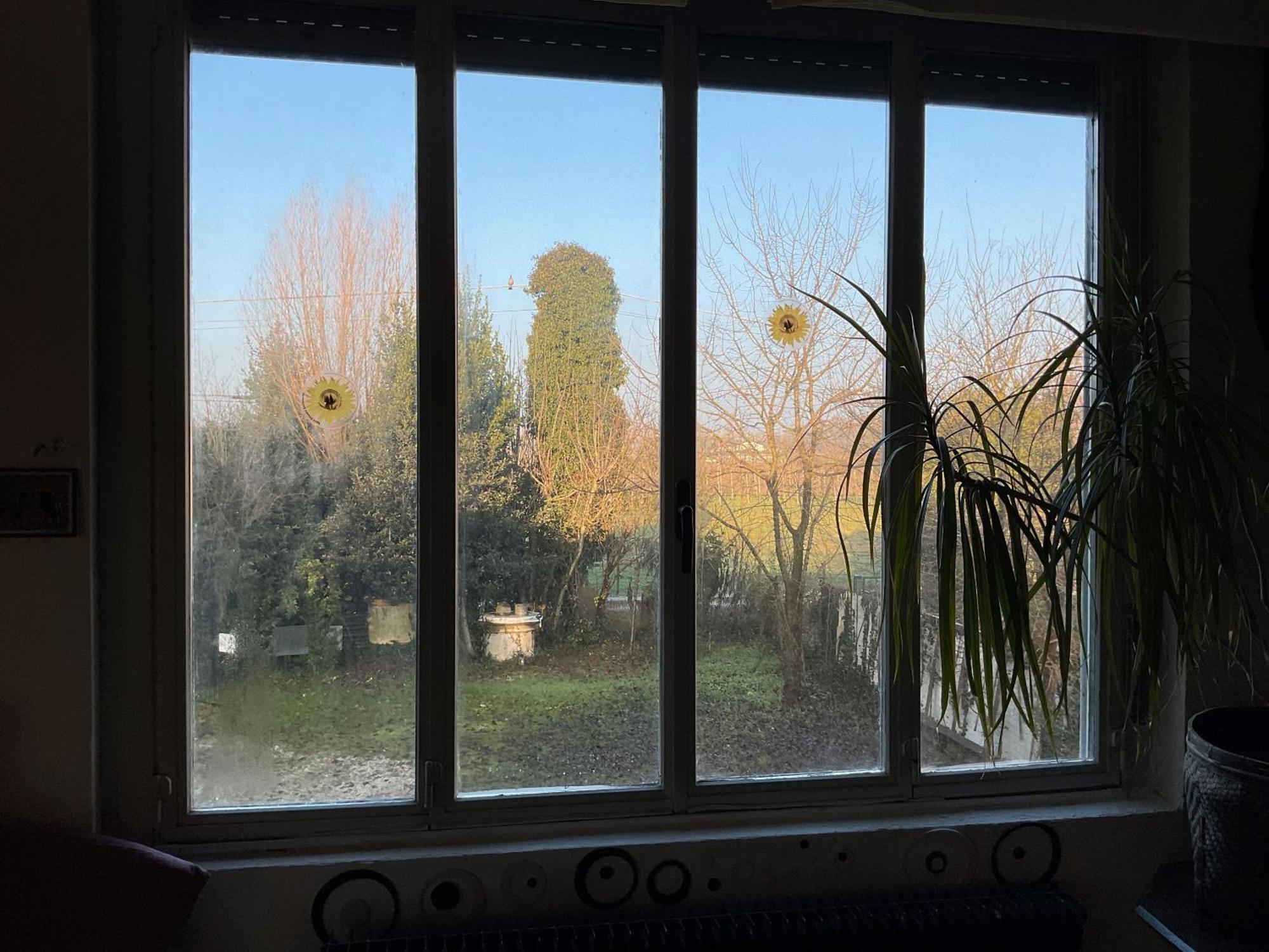 Fields Padua